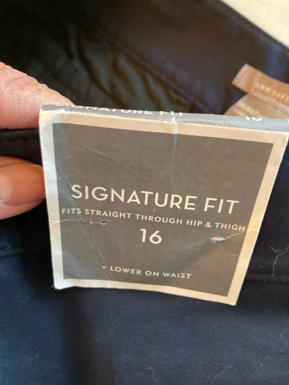 Ann Taylor Navy Signature Fit Shorts - Picture 4 of 8